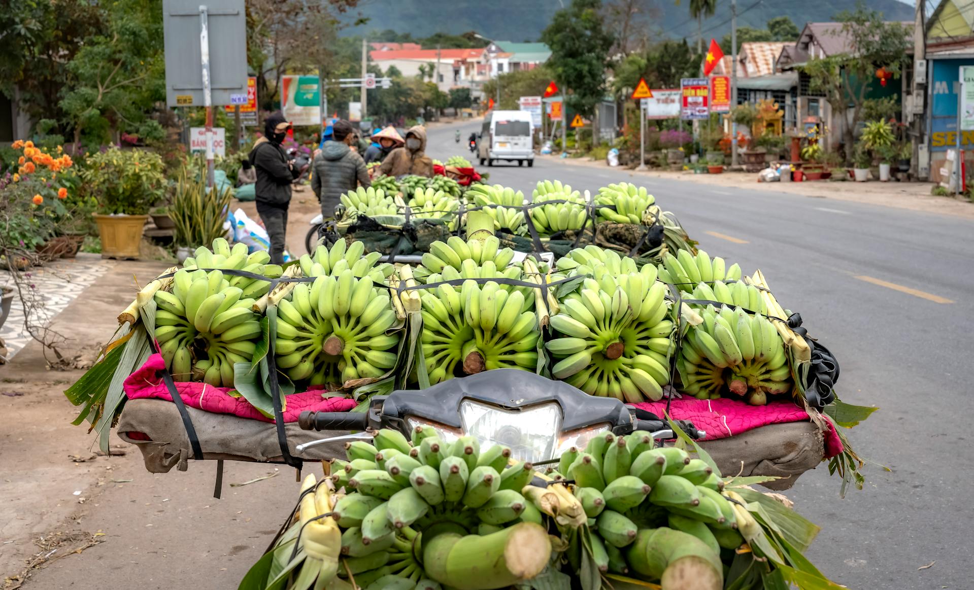 Informal produce